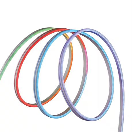 Bande LED néon RGBWIC 9 pi changement couleur