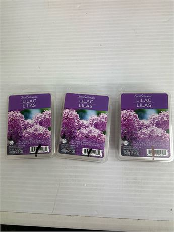 Cubes de cire parfumée (ensemble de 3)