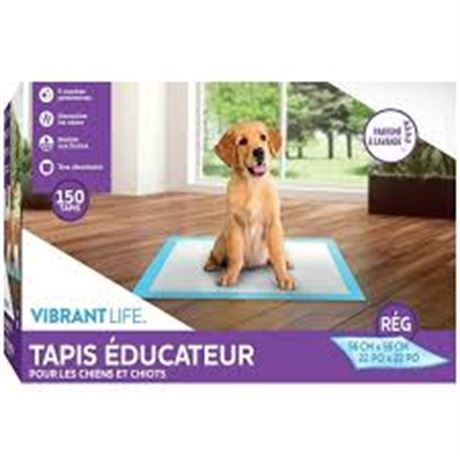 Tapis éducatifs lavande Vibrant Life pour chiens