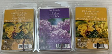 Ensemble de 3 cubes de cire parfumée ScentSationals