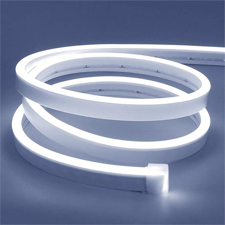 Ruban DEL néon blanc Lamomo 16,4 pi/5 m 12V flexible étanche
