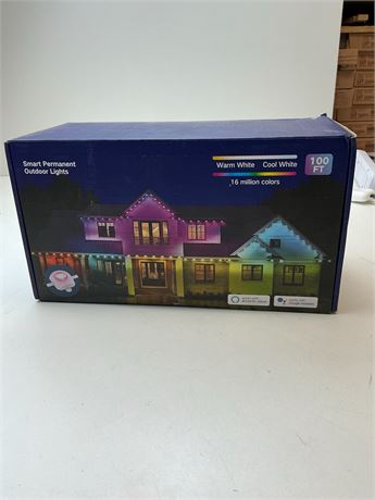 Guirlande lumineuse extérieure Govee RGBIC Wi-Fi 100 pi