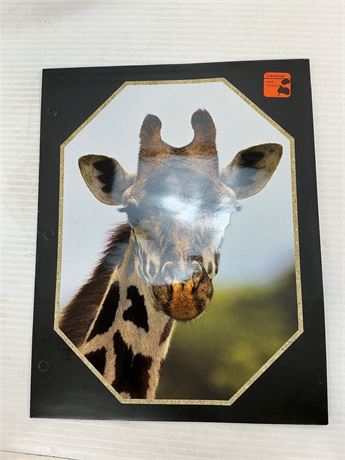 Chemise girafe