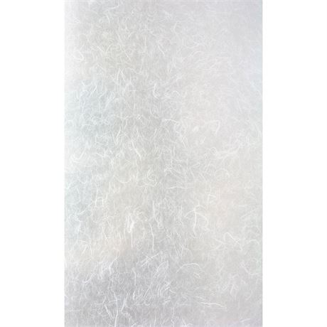 Pellicule fenêtre latérale papier de riz 12 x 83 po