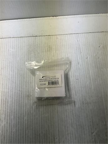 Boîtier surface double RJ45 Cat5e Global Tone