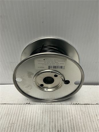 Fil électrique 20 AWG noir 100 pi