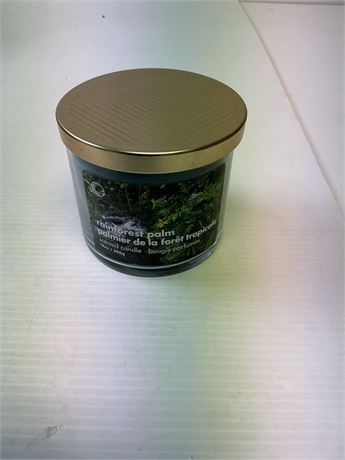 Bougie parfumée palmier rainforest 14 oz