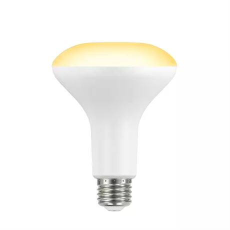 Ampoules LED BR30 90W équivalent - paquet de 2