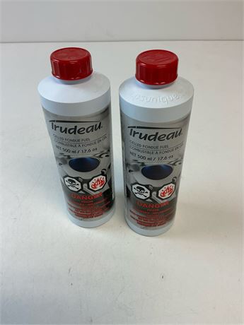 Gel combustible pour fondue lot de 2