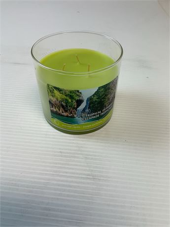 2 bougies parfumées 14,5 oz Océan et Tropical