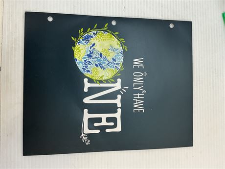 Chemise bleue We Have One Earth
