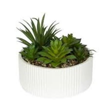 Plante artificielle cactus momoplant