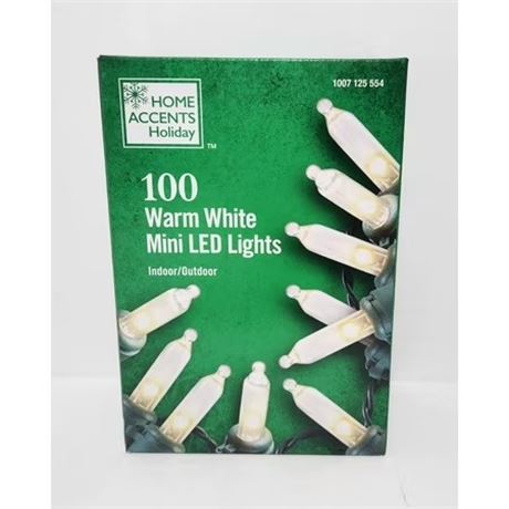 Guirlande DEL blanc chaud (100) – fil vert
