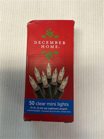Guirlande Noël 50 lumières 10 pi