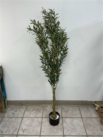 Olivier artificiel VeriNatural 6 pi tronc bois véritable intérieur