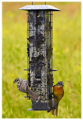 Mangeoire à oiseaux Perky-Pet anti-écureuils
