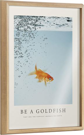 Cadre mural en verre imprimé Kate and Laurel « Be a Goldfish »