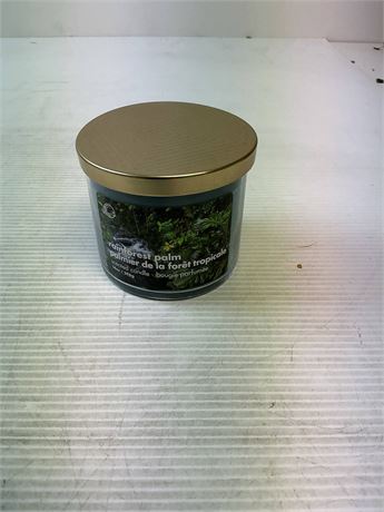 Bougie parfumée palmier tropical 14 oz en pot