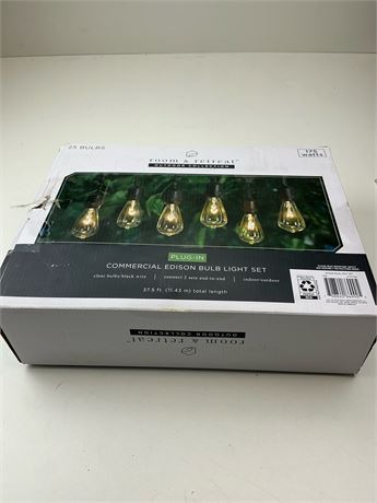 Ensemble 25 ampoules décoratives Room & Retreat