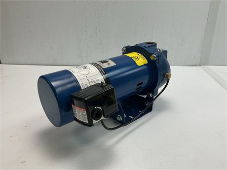 Pompe puits convertible 1 HP Everbilt