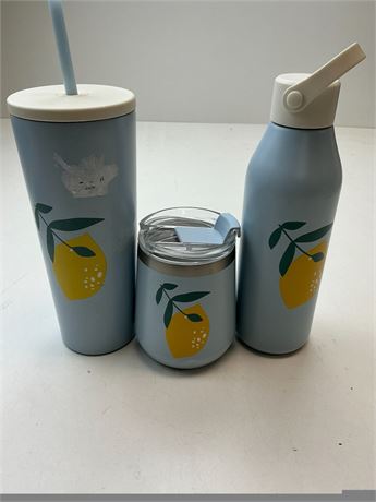 Bouteilles d’eau Tritan EcoFlow – lot de 3