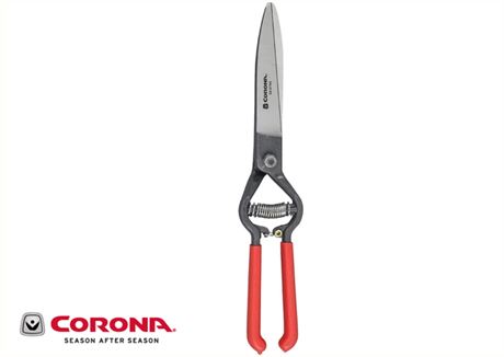Cisailles à gazon en acier forgé Corona 6 po