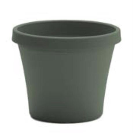 Jardinière plastique Bloem Terra 5,5 x 6,5 x 4,5 po basilic