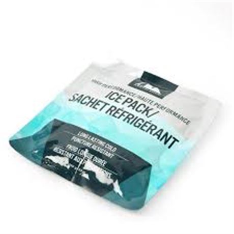 Sachet réfrigérant Arctic Zone