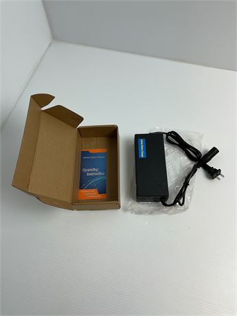 Chargeur de batterie lithium
