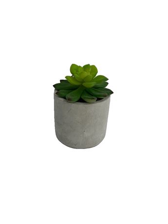 Pot terracotta avec fausse succulente