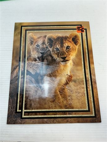 Chemise lions