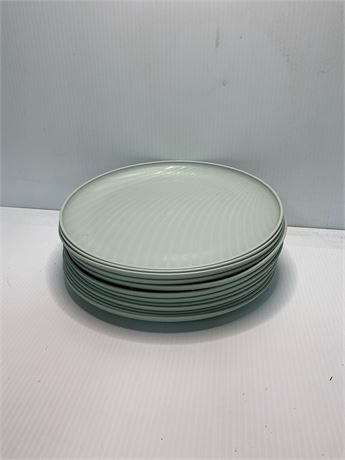 12 Assiettes en plastique MAINSTAYS