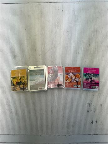 Lot de 5 cubes de cire parfumée Scentsationals