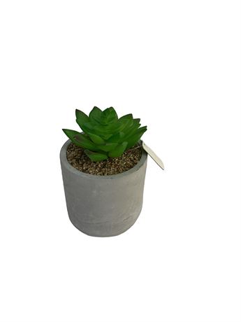 Succulentes artificielles en pot rond béton 4 po