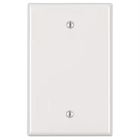 2 Plaques murales blanches 1 poste pleine