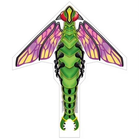 Cerf-volant X Kites Sonic Wings insecte avec poignée et fil