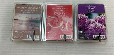 Ens. 3 cubes de cire ScentSationals