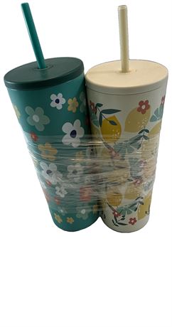 VOIR PHOTOS - Lot de 2 bouteilles d'eau Hometrends inox 24 oz