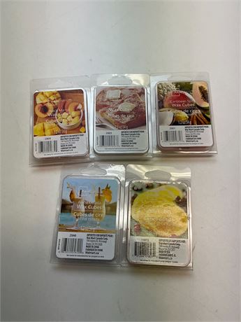Lot de 5 cubes de cire parfumée Mainstays assortis