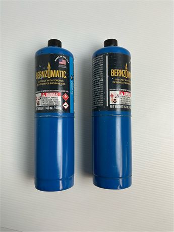 Bouteilles de propane Bernzomatic 14,1 oz lot de 2