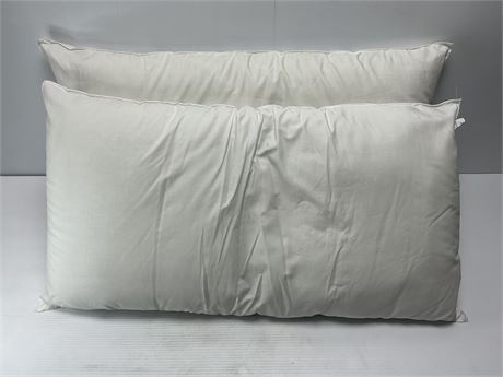 Ens. de 2 oreillers (17 x 33 po)