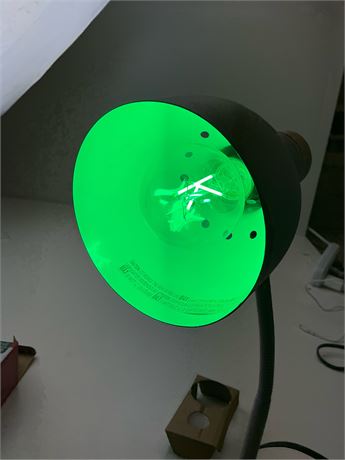 Ampoule LED verte Meijer (1 pièce)