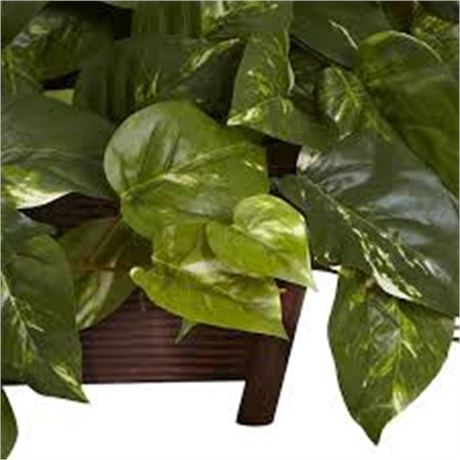 Plante pothos artificielle Nearly Natural avec pot décoratif