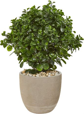 Plante Peperomia artificielle 30 po