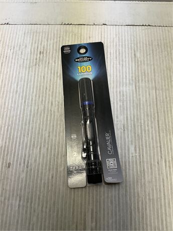 Lampe de poche sécurité style police 100 lumens