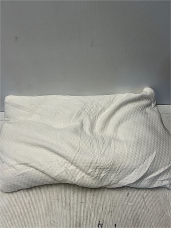 Oreiller polyester 20 x 30