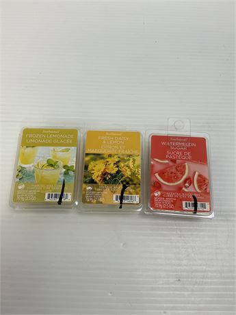 Cubes cire Scentsationals marguerite, melon et limonade