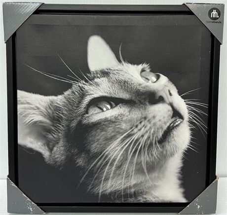 Hometrends cadre chat 16,1 x 1,6 x 16,1 po