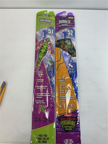 Cerf-volant Sonic Wings 51 po + Skydelta Tortues Ninja