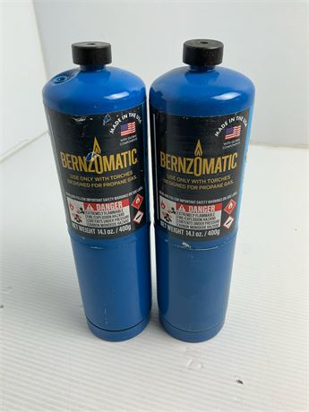 Bouteilles propane Bernzomatic 14,1 oz lot 2